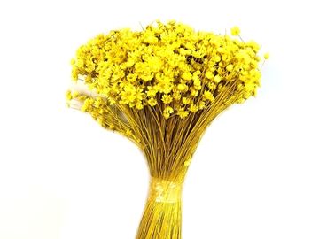 Sušené mini slamienky Glixia Marcela 75g kytička - žlté