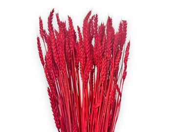 Sušené prírodné klasy pšeničné 150g - jasné červené