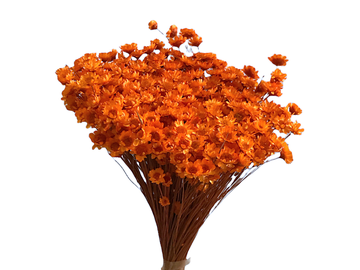 Sušené slamienky Glixia 50g kytička - oranžové