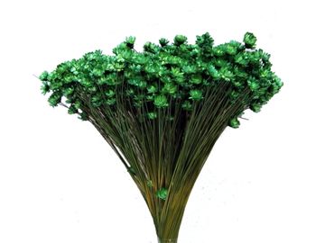 Sušené slamienky Glixia 50g kytička - tmavé zelené