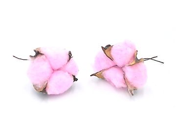 Sušený aranžérsky kvet bavlník - pastelovo ružový