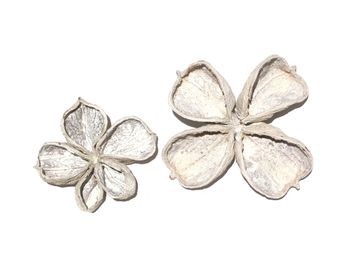 Sušený kvet Nigella - vintage biely
