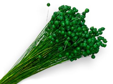 Sušený ľan - kytica cca 70g - trávovo zelený