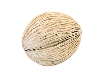 Sušený plod Mintola - veľká bielená