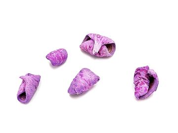 Sušený plod točený - Lali - jasný fialový