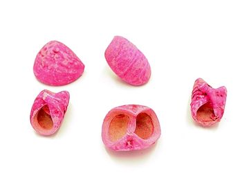 Sušený plod točený - Lali - jasný ružový