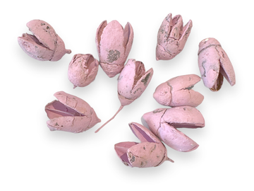 Sušina - plod Bakuli - 10ks - pastelový malinový