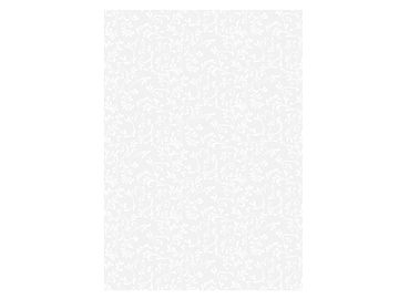 Transparentný papier A4 ROMA - biele ornamenty